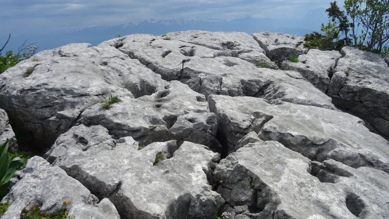 Lapiaz des hauts plateaux face aux Alpes