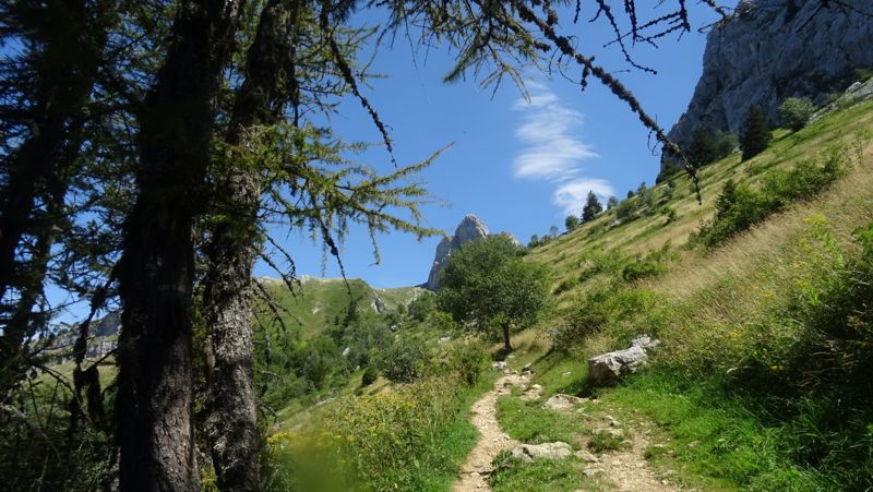 Sentier sous les mélèzes vers les sommets